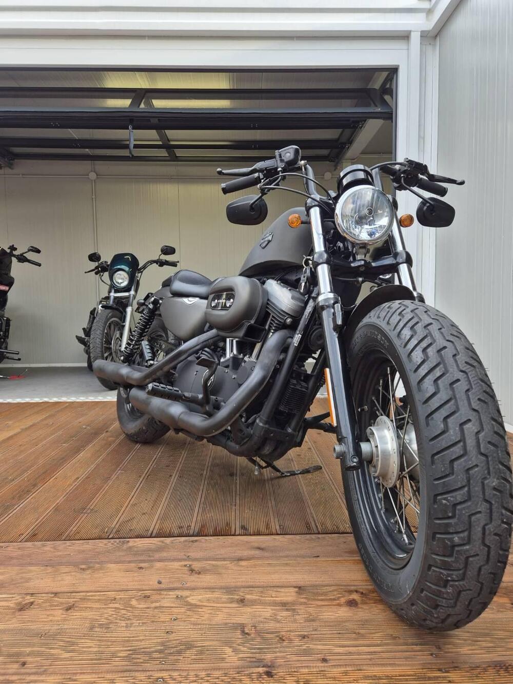 Harley-Davidson 1200 Forty-Eight (2010 - 15) (8)