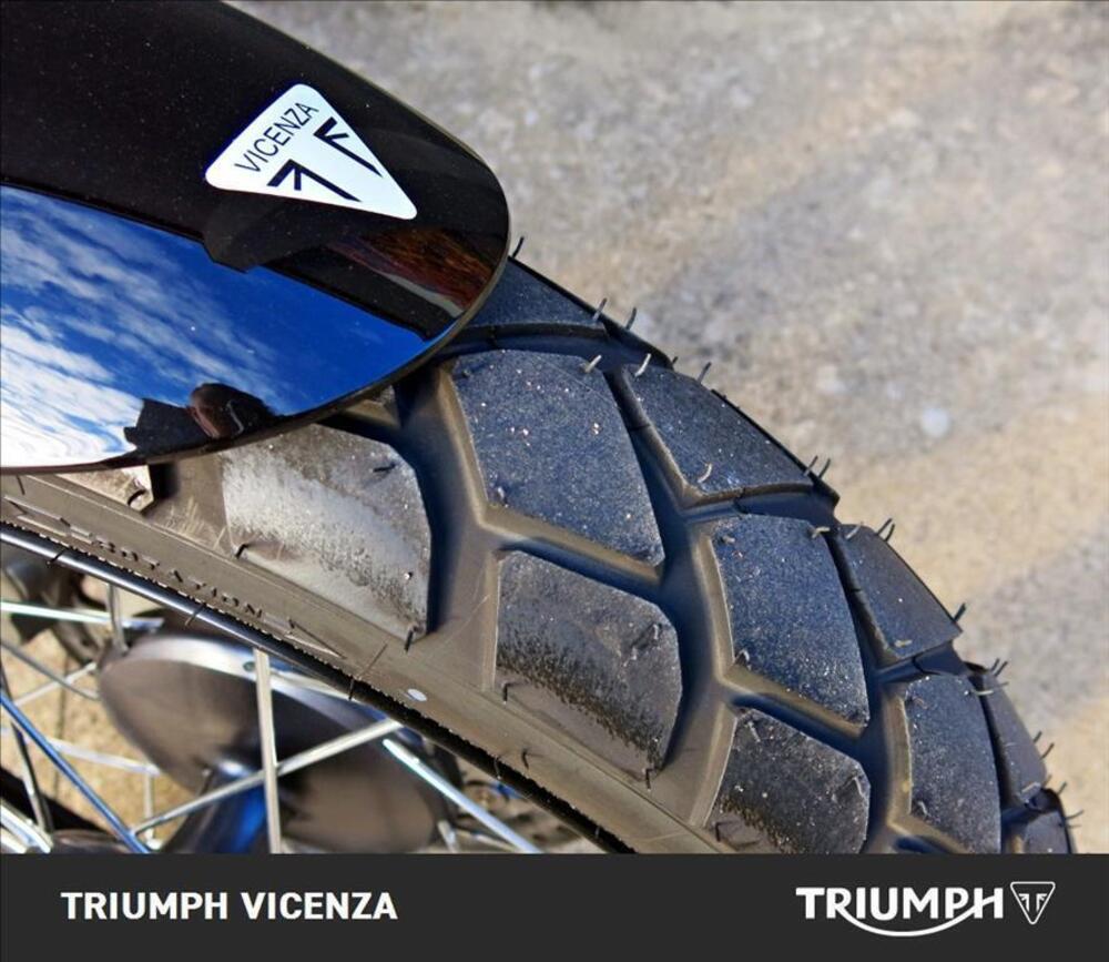 Triumph Scrambler 900 Icon Edition (2025 - 26) (8)