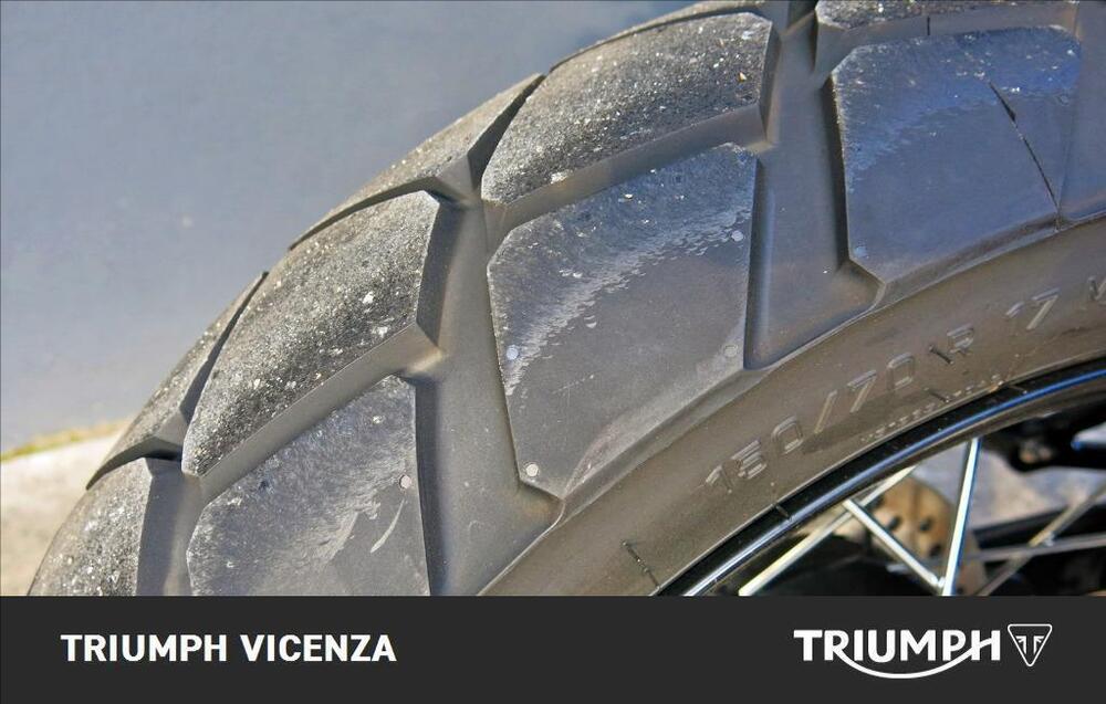 Triumph Scrambler 900 Icon Edition (2025 - 26) (9)