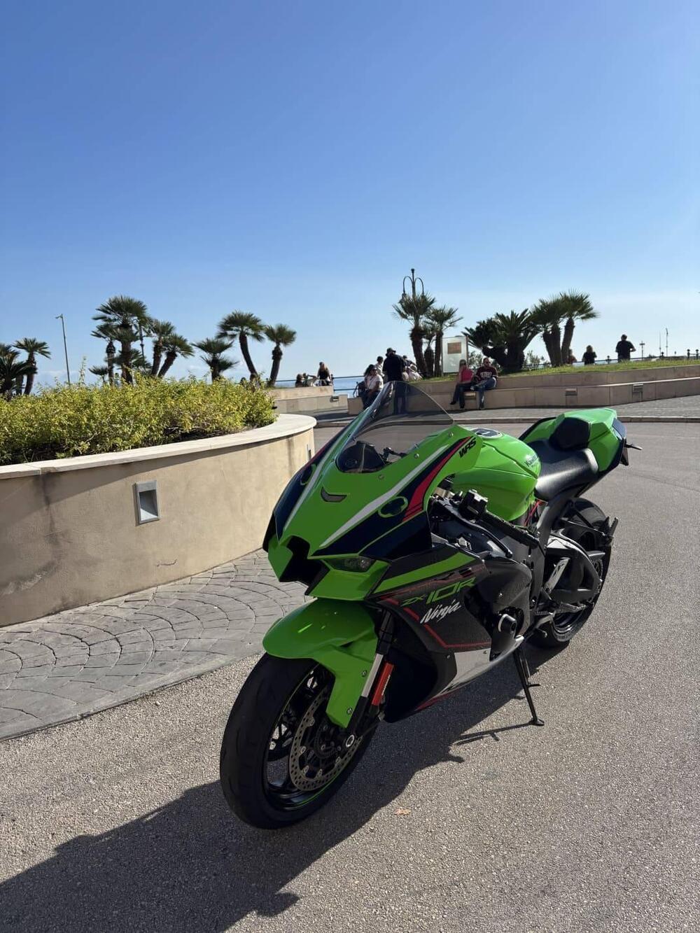 Kawasaki Ninja 1000 ZX-10R (2021 - 25)