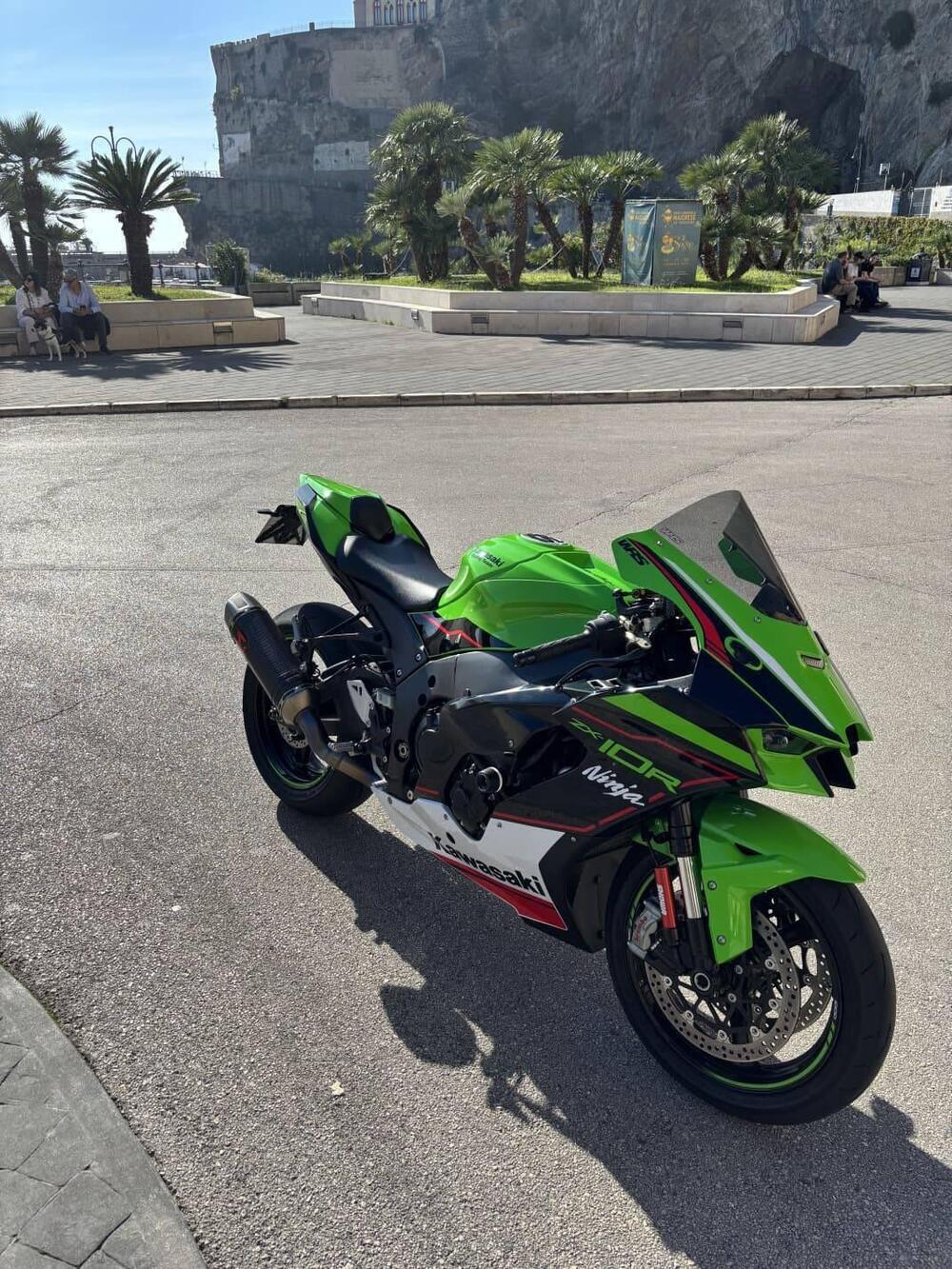 Kawasaki Ninja 1000 ZX-10R (2021 - 25) (7)