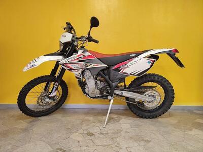 Betamotor RR 450 4T Enduro (2009) usata