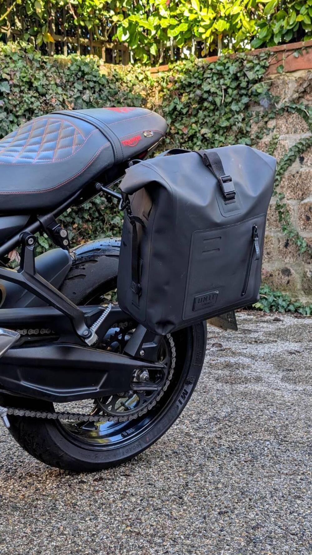 Triumph Trident 660 (2025) (9)