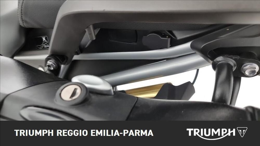 Triumph Tiger 1200 Rally Pro (2024 - 26) (13)