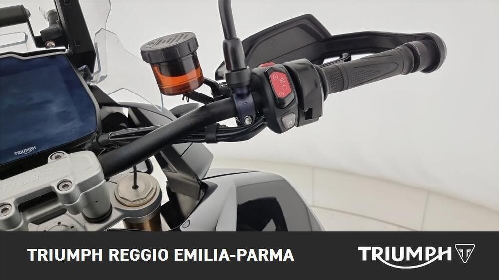 Triumph Tiger 1200 Rally Pro (2024 - 26) (10)