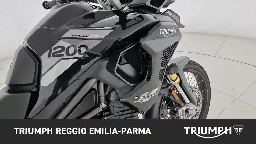 Triumph Tiger 1200 Rally Pro (2024 - 26) (19)