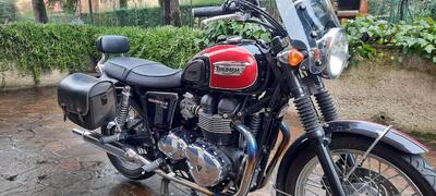 Triumph Bonneville T100 (2008 - 16) usata