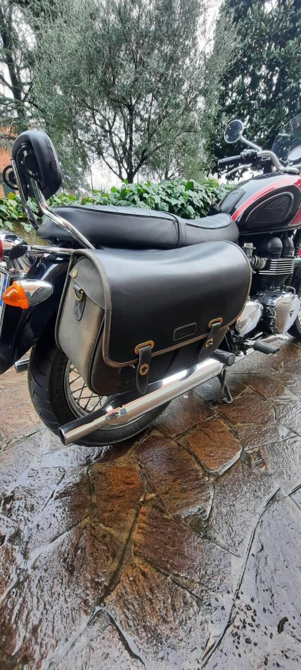 Triumph Bonneville T100 (2008 - 16) (3)