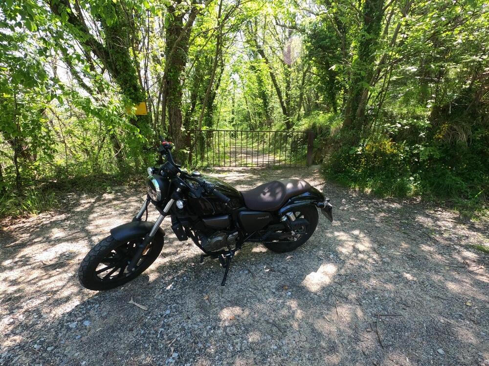 QJ Motor SRV 125 (2023 - 24) (2)