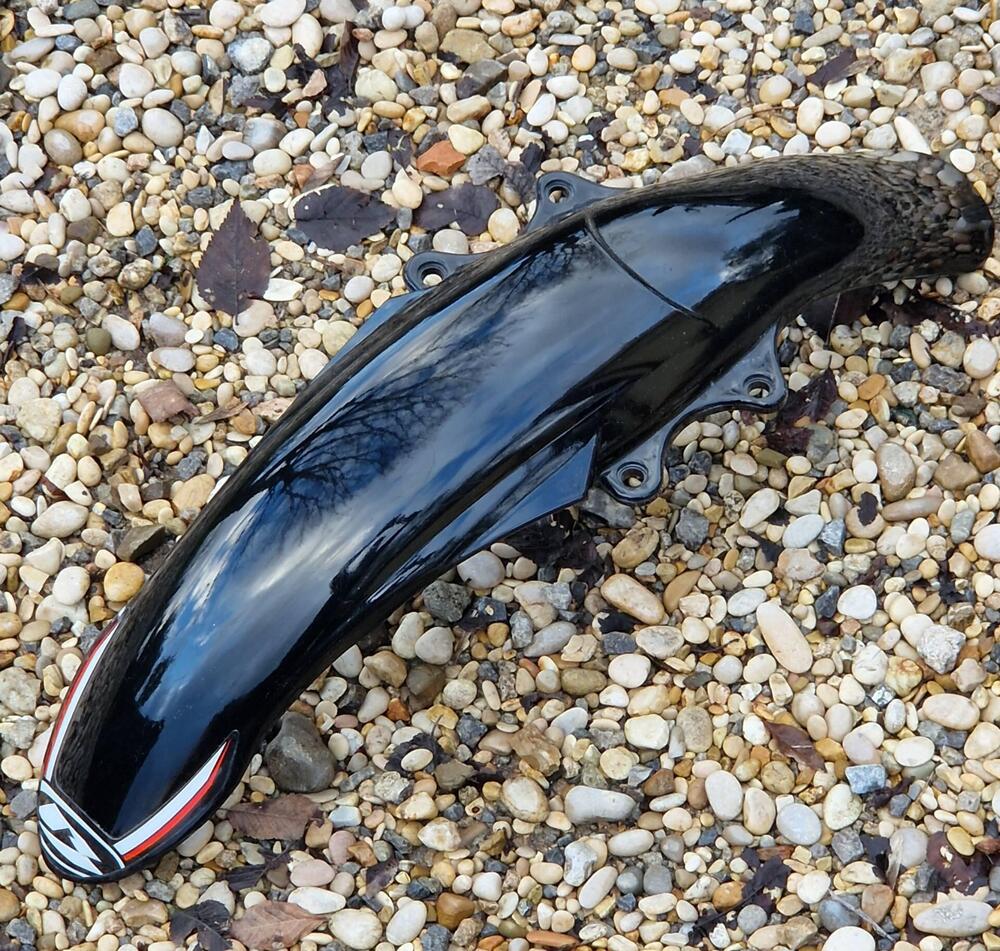 Betamotor Alp 4.0 (2018 - 20) (6)