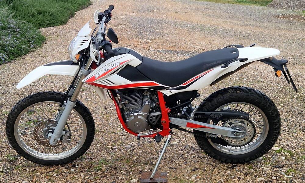 Betamotor Alp 4.0 (2018 - 20) (2)