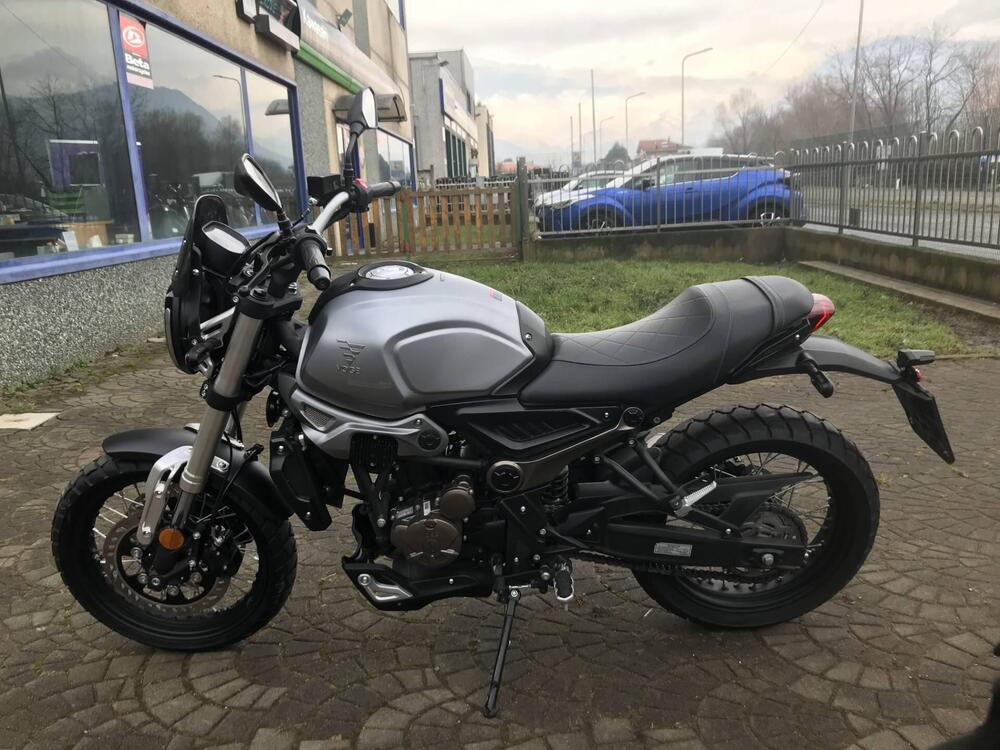 Voge Trofeo 300ACX Scrambler (2021 - 26)