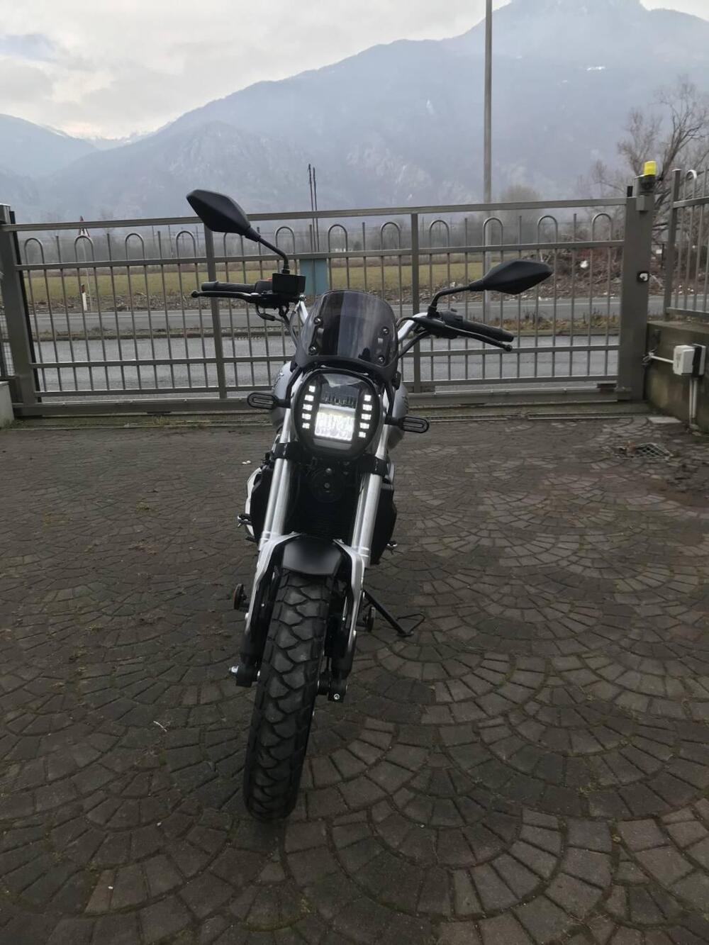 Voge Trofeo 300ACX Scrambler (2021 - 26) (4)