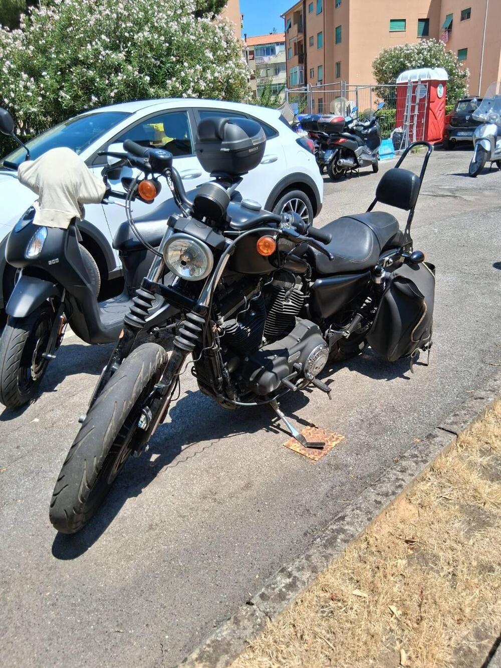 Harley-Davidson 883 Iron (2014 - 16) - XL 883N (3)