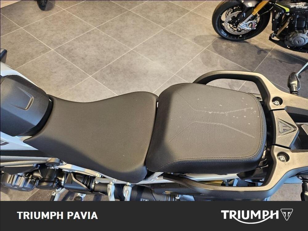 Triumph Tiger 1200 GT Pro (2024 - 26) (15)