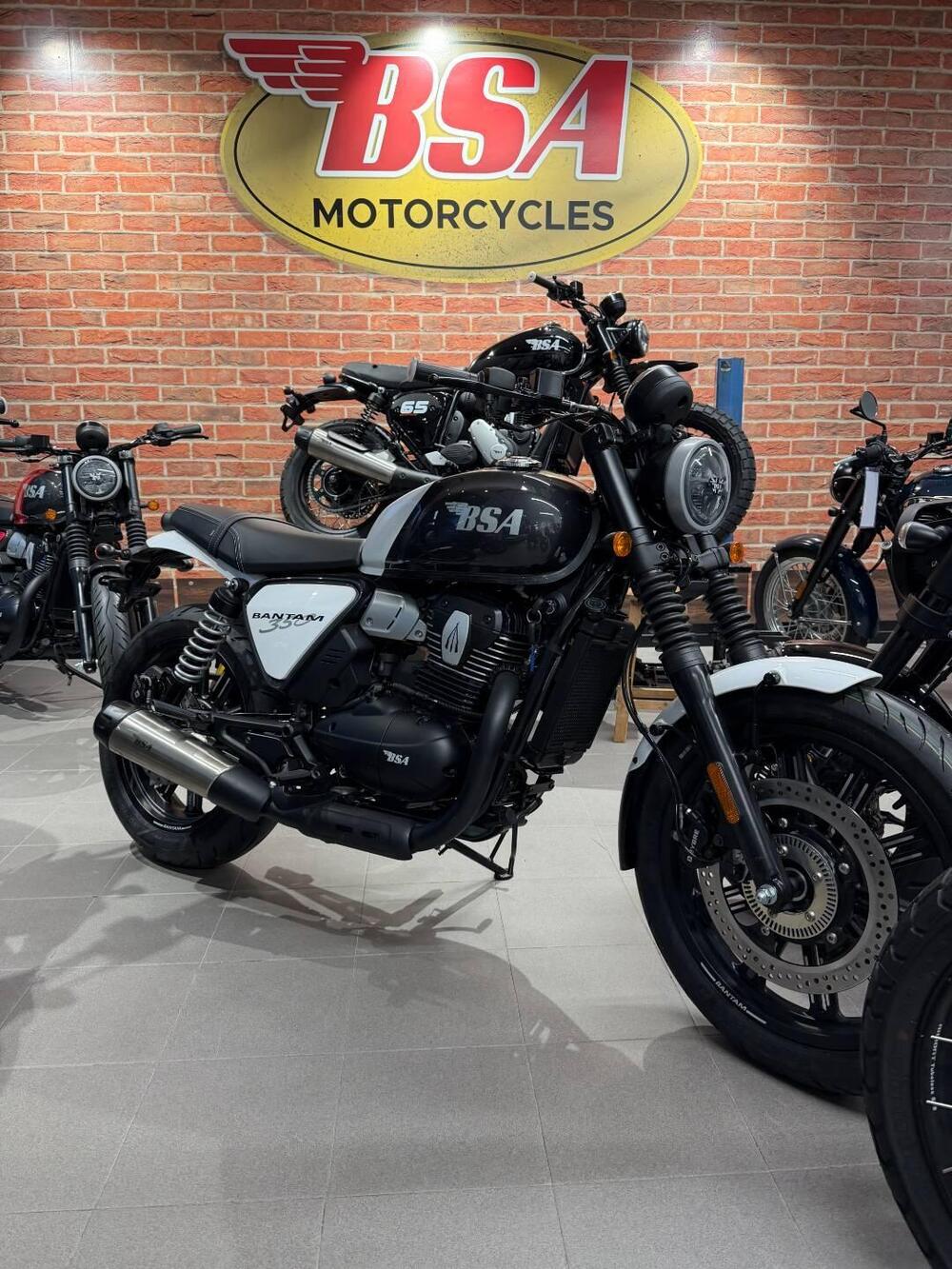 Bsa Bantam 350 (2025 - 26) (2)