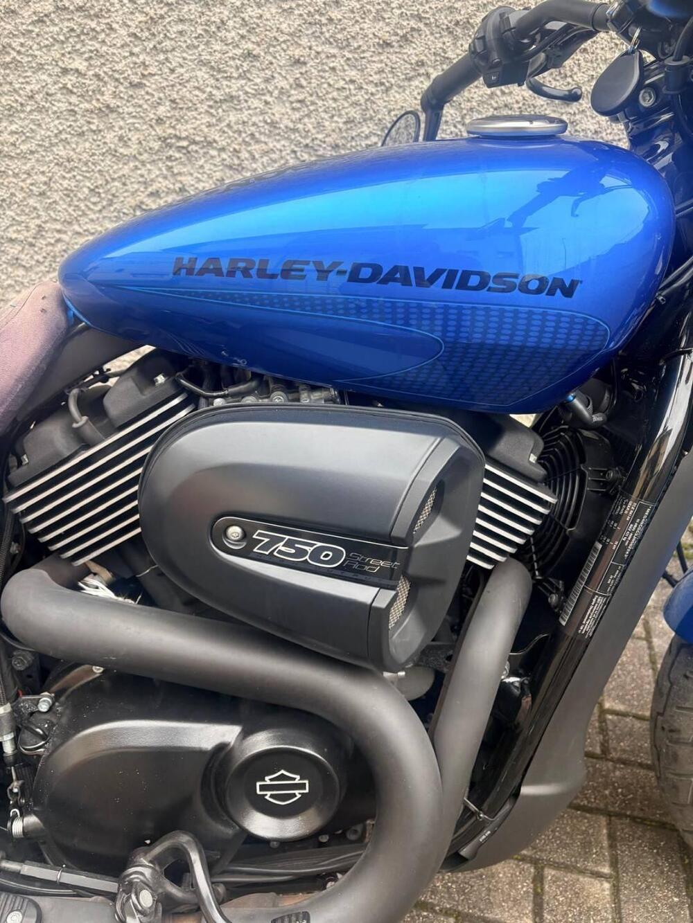 Harley-Davidson 750 Street Rod (2017 - 20) - XG 750 (3)