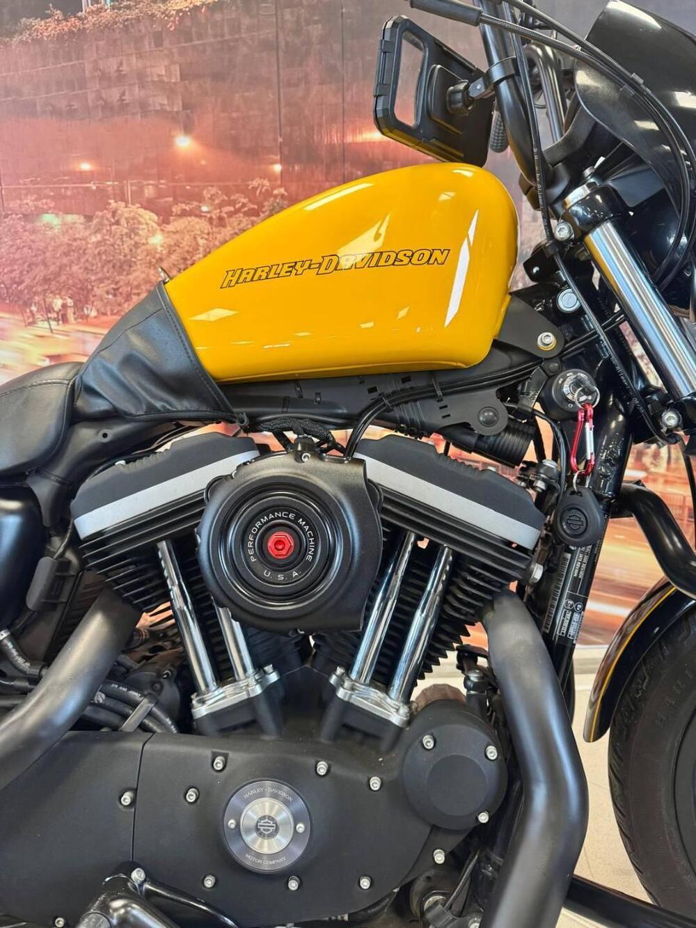 Harley-Davidson 883 Iron (2009 - 11) - XL 883N (4)