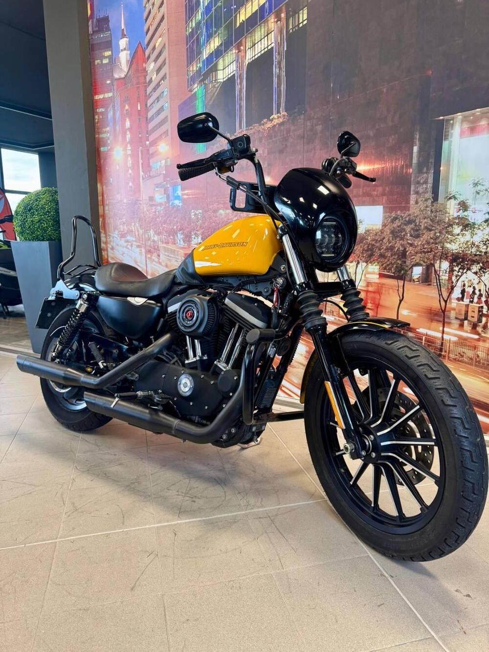 Harley-Davidson 883 Iron (2009 - 11) - XL 883N (5)