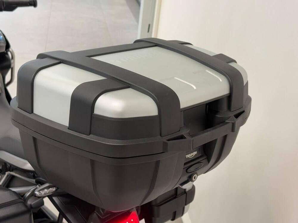 Triumph Tiger 1200 Rally Explorer (2024 - 26) (4)