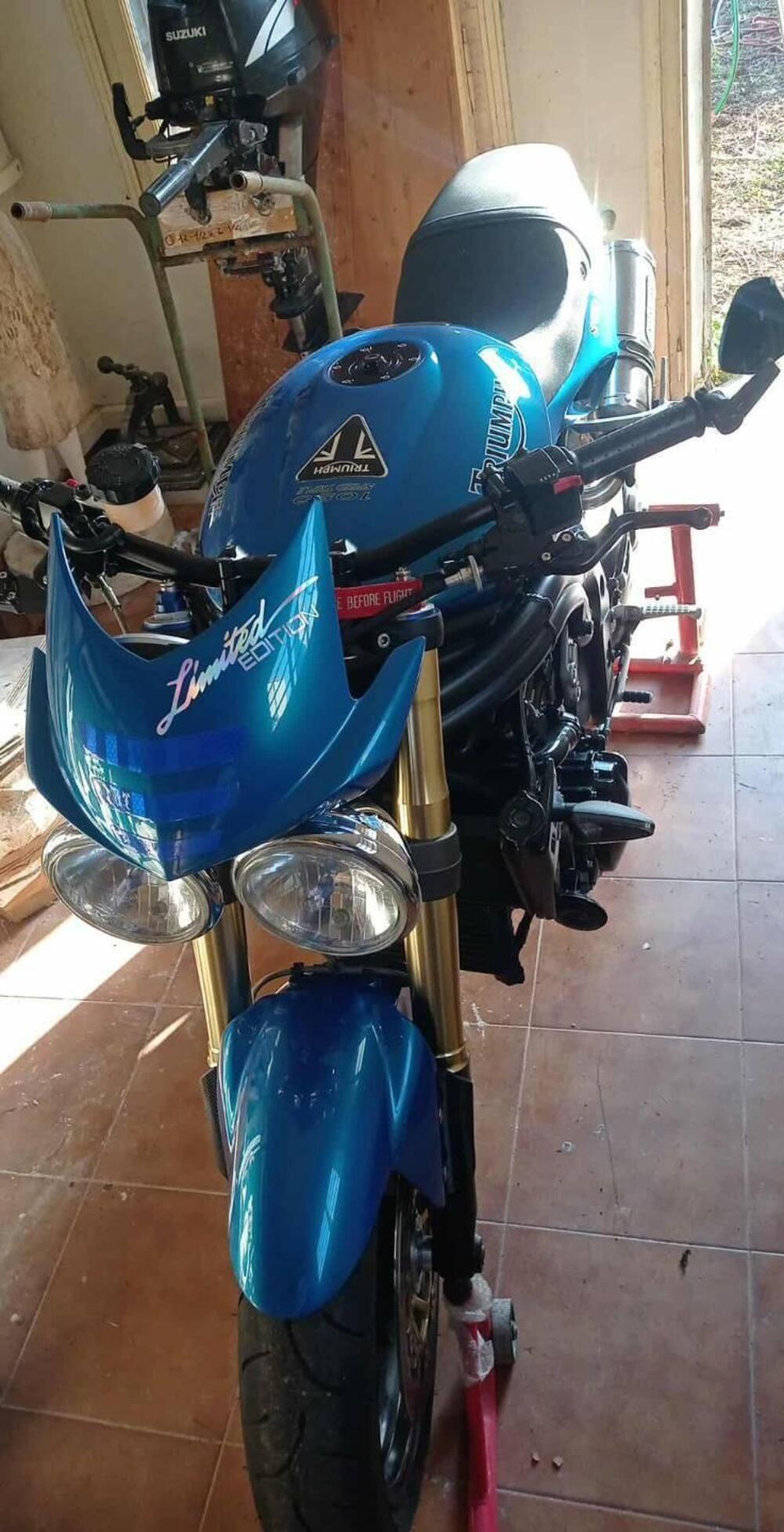 Triumph Speed Triple 1050 (2005 - 11) (10)