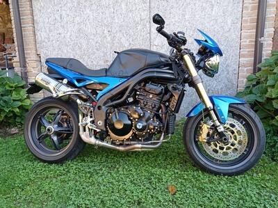 Triumph Speed Triple 1050 (2005 - 11) usata