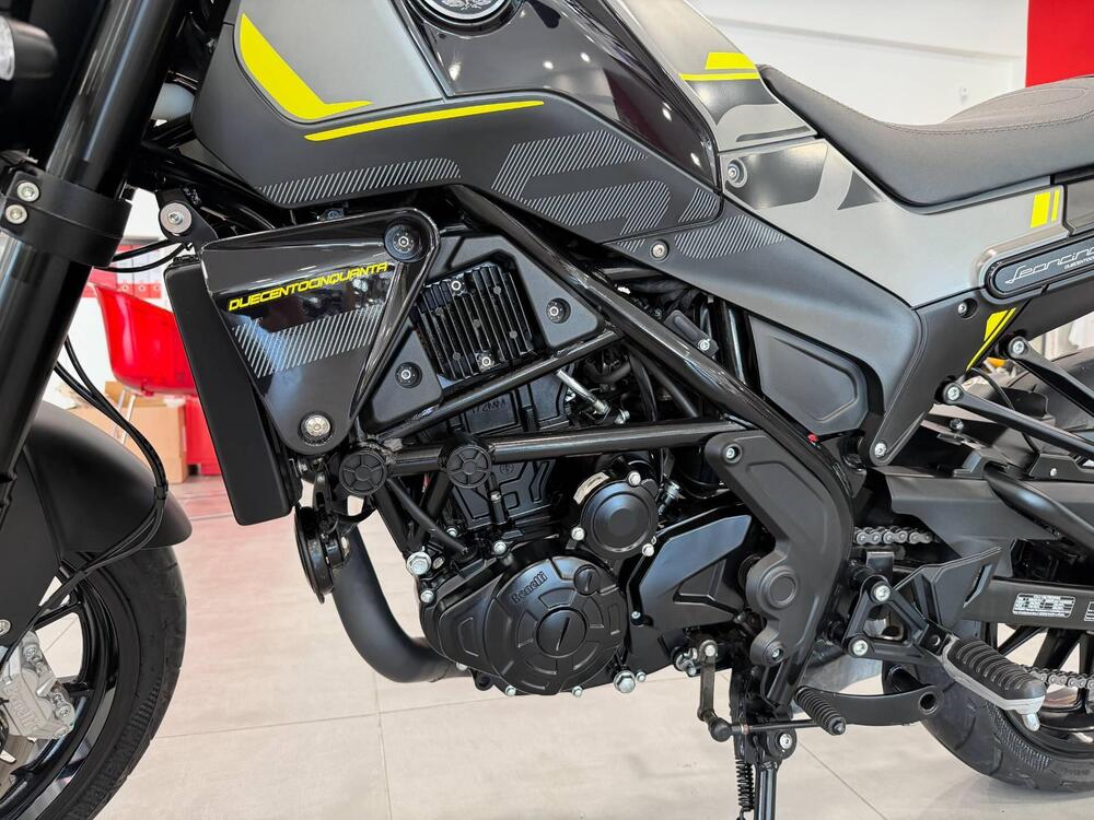 Benelli Leoncino 250 (2021 - 25) (12)