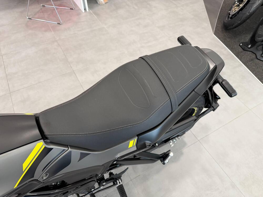 Benelli Leoncino 250 (2021 - 25) (10)