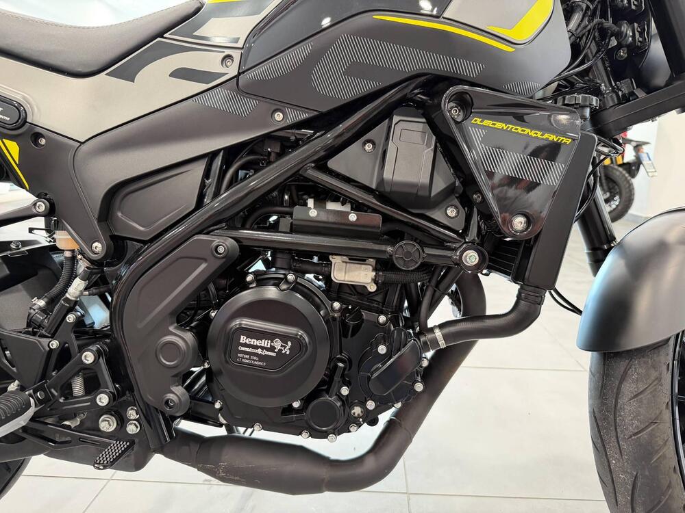 Benelli Leoncino 250 (2021 - 25) (15)