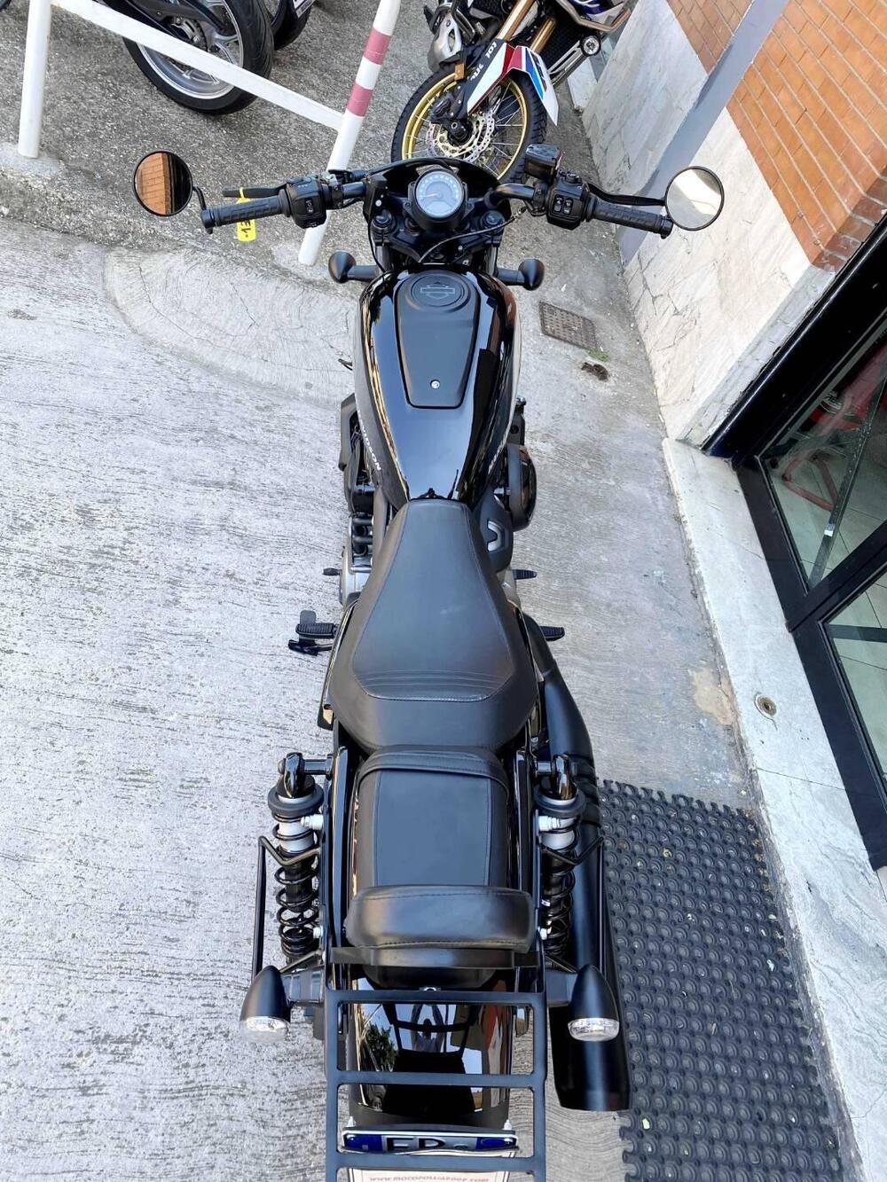 Harley-Davidson Nightster (2023 - 26) (9)