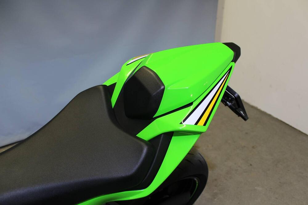 Kawasaki Ninja 636 ZX-6R (2024 - 26) (17)