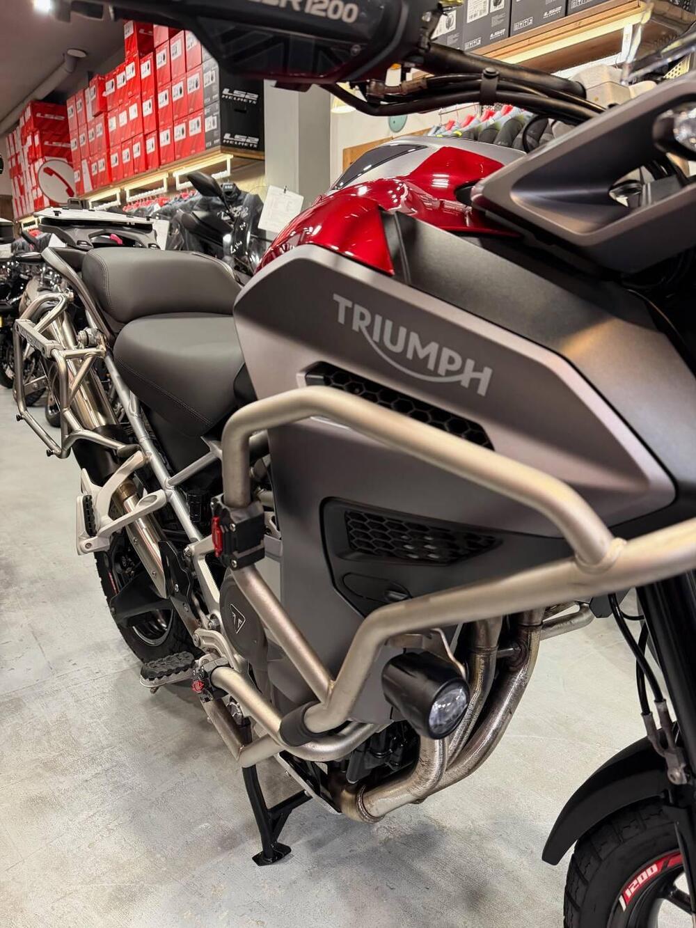 Triumph Tiger 1200 GT Explorer (2024 - 26) (3)