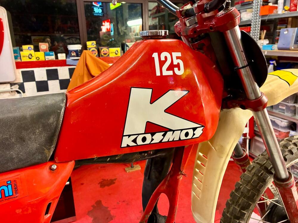 Kosmos 125 (8)