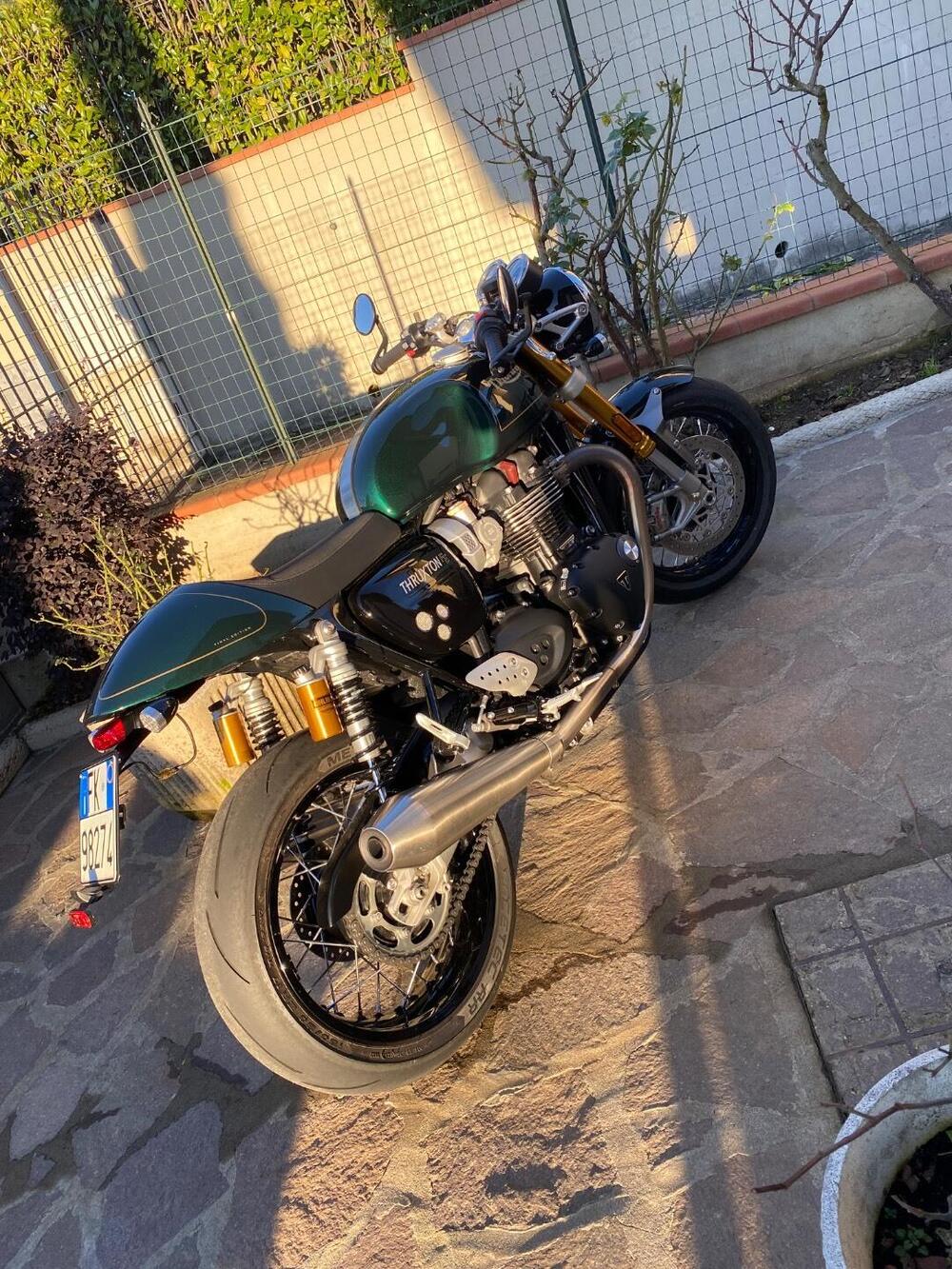 Triumph Thruxton RS Final Edition (2024 - 25) (3)