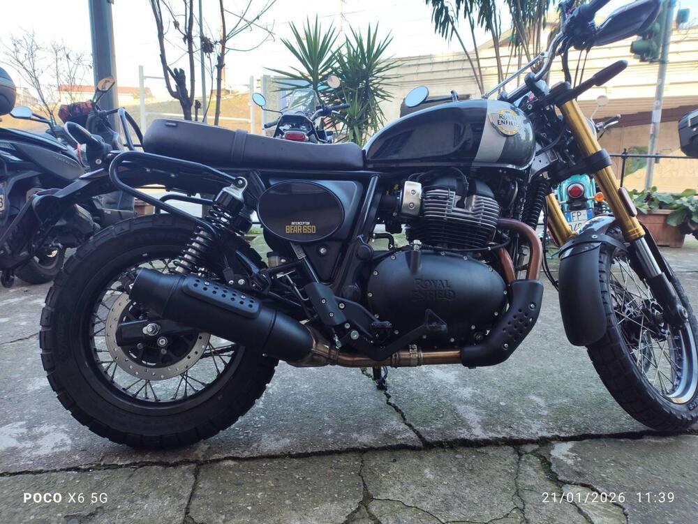 Royal Enfield Bear 650 (2025 - 26) (2)