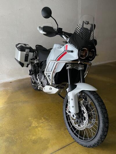 Ducati DesertX (2022 - 25) usata