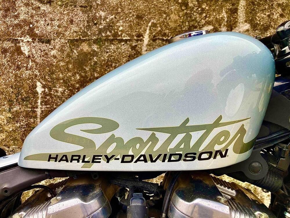 Harley-Davidson 1200 Forty-Eight (2010 - 15) (15)