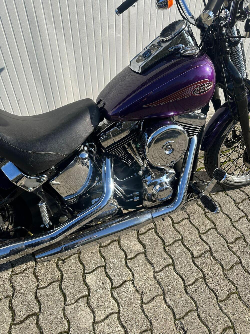 Harley-Davidson 1450 Springer (2001 - 03) - FXSTS (10)