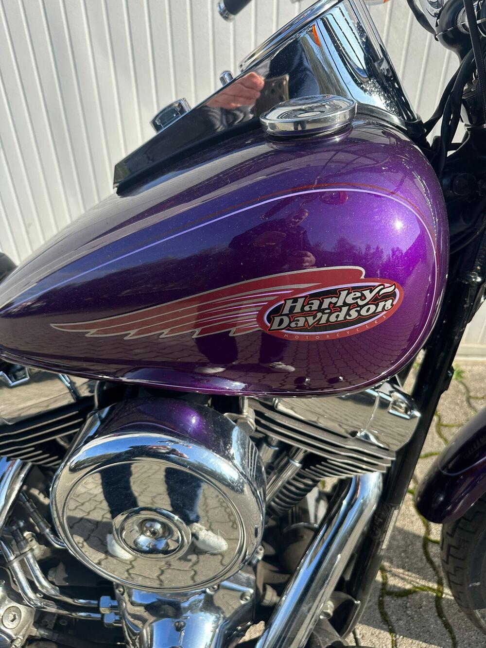 Harley-Davidson 1450 Springer (2001 - 03) - FXSTS (11)