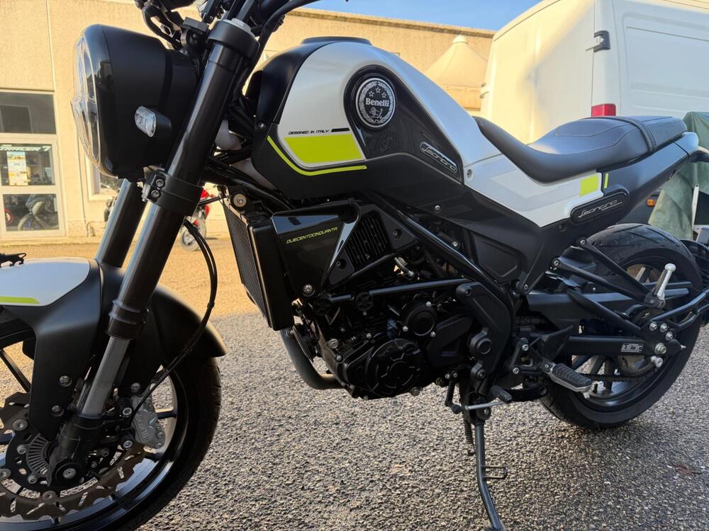 Benelli Leoncino 250 (2019 - 20) (4)