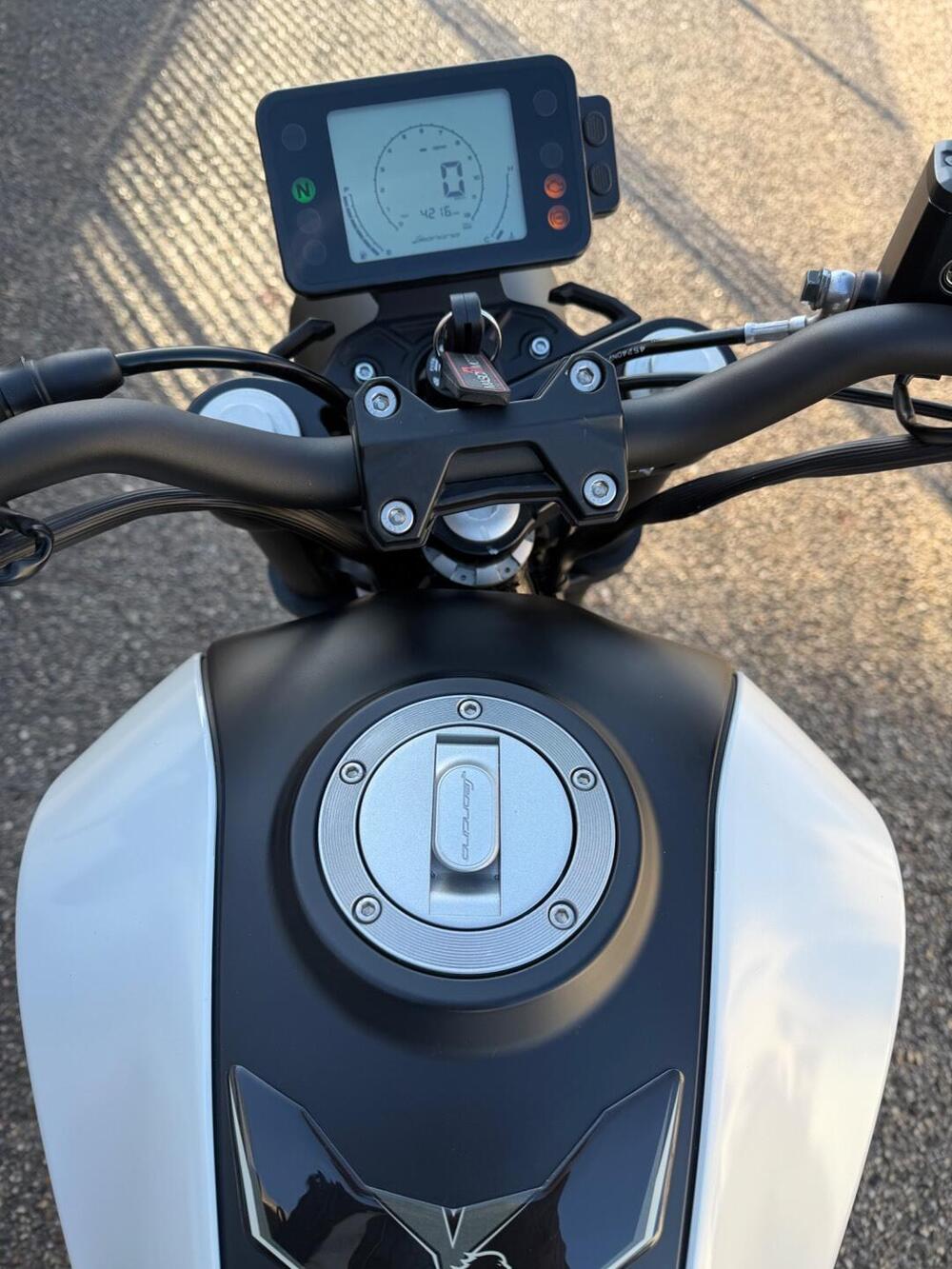 Benelli Leoncino 250 (2019 - 20) (7)