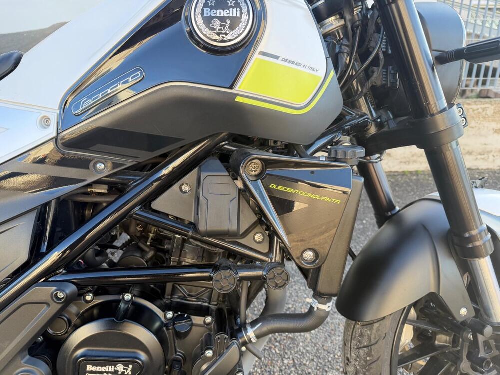 Benelli Leoncino 250 (2019 - 20) (8)