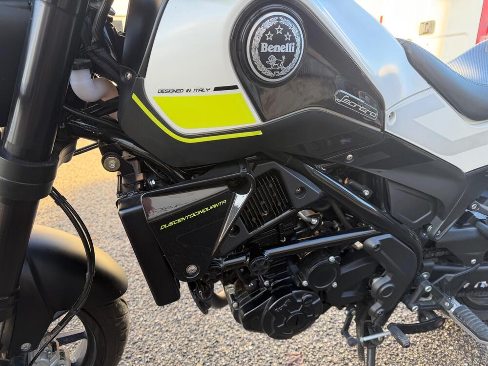 Benelli Leoncino 250 (2019 - 20) (9)