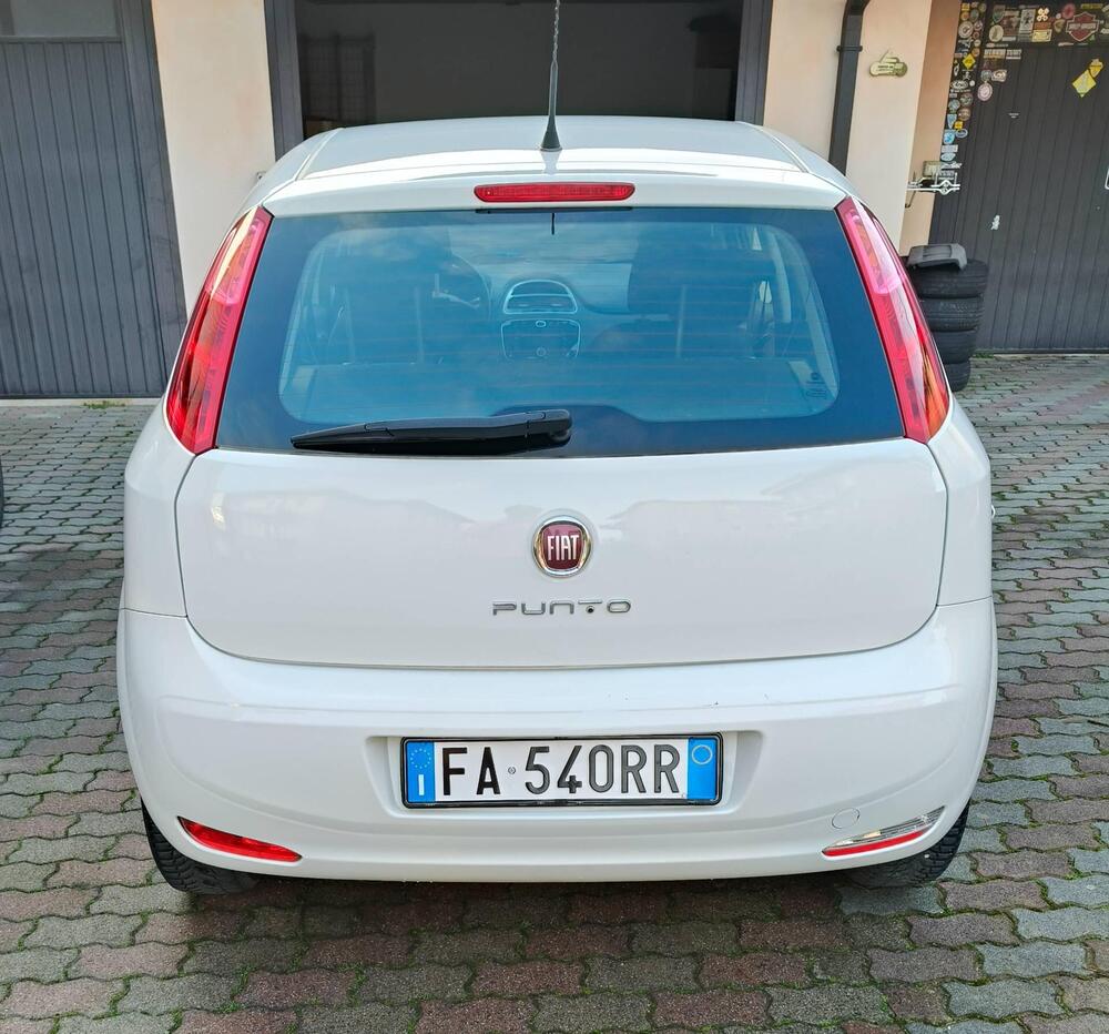 Fiat Punto usata a Verona (2)