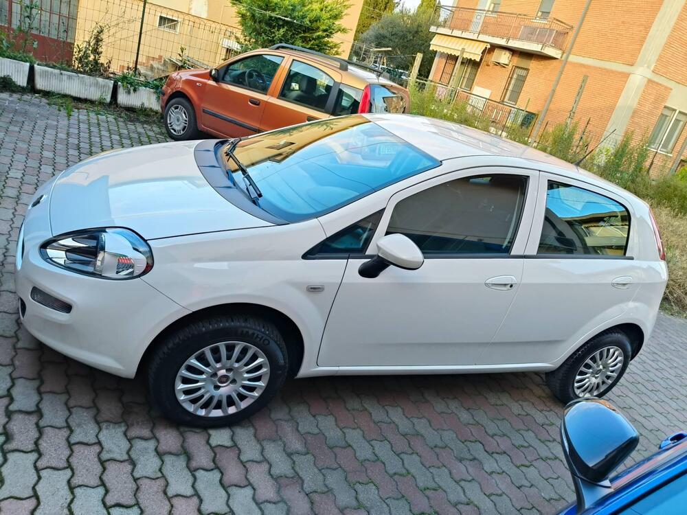 Fiat Punto usata a Verona (3)