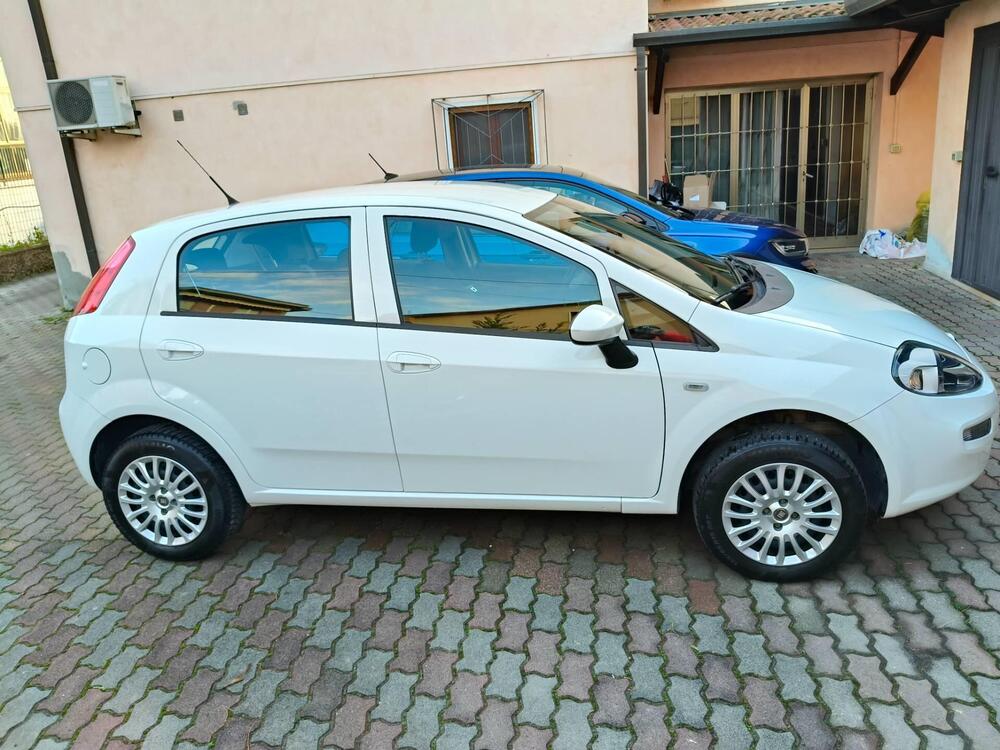 Fiat Punto usata a Verona (4)