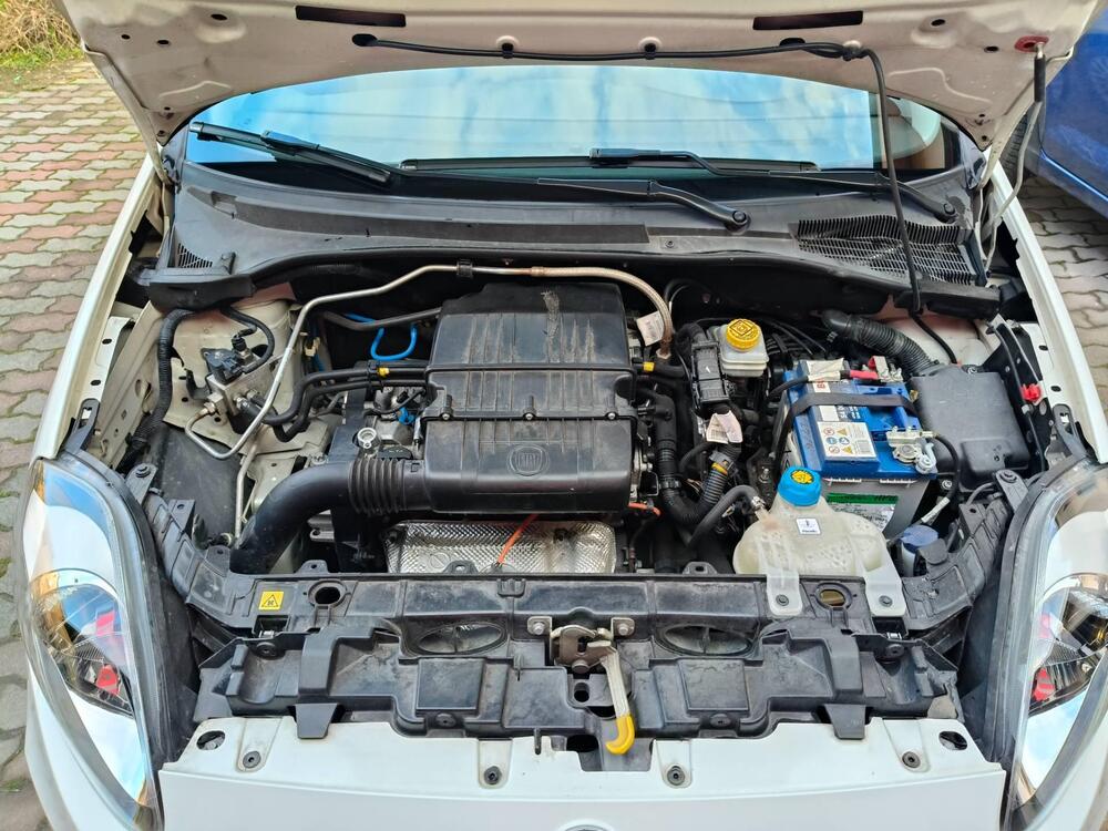 Fiat Punto usata a Verona (6)