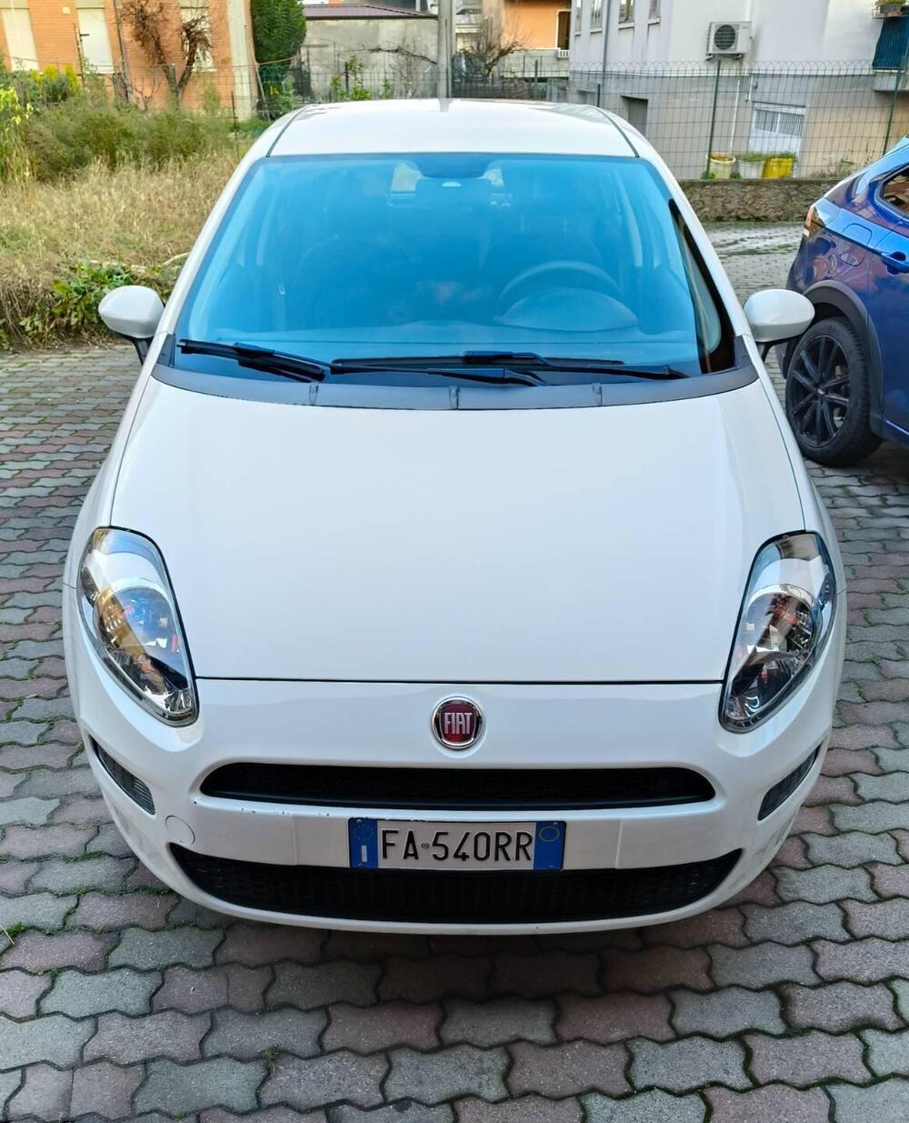 Fiat Punto usata a Verona