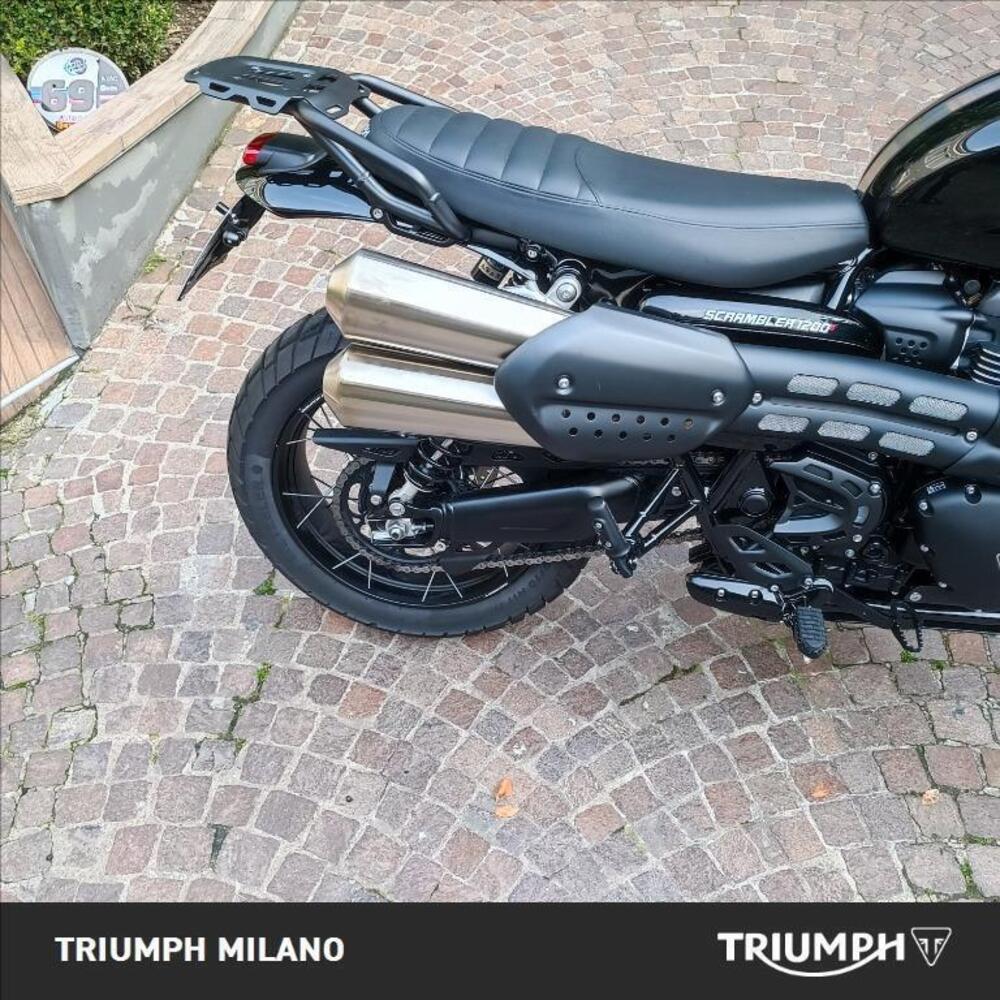 Triumph Scrambler 1200 X (2024 - 26) (2)