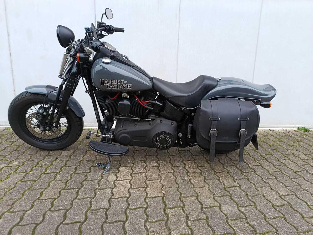 Harley-Davidson 1584 Cross Bones (2008 - 11) - FLSTSB (9)